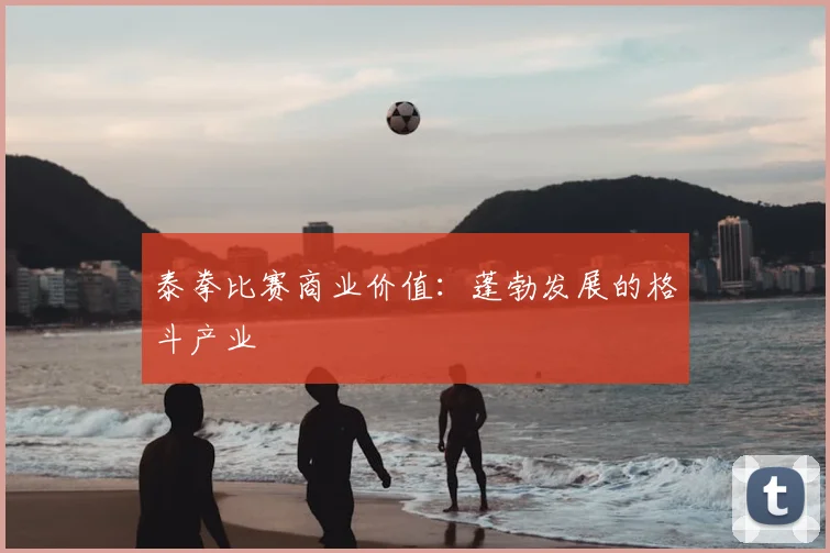 泰拳比赛商业价值:蓬勃发展的格斗产业
