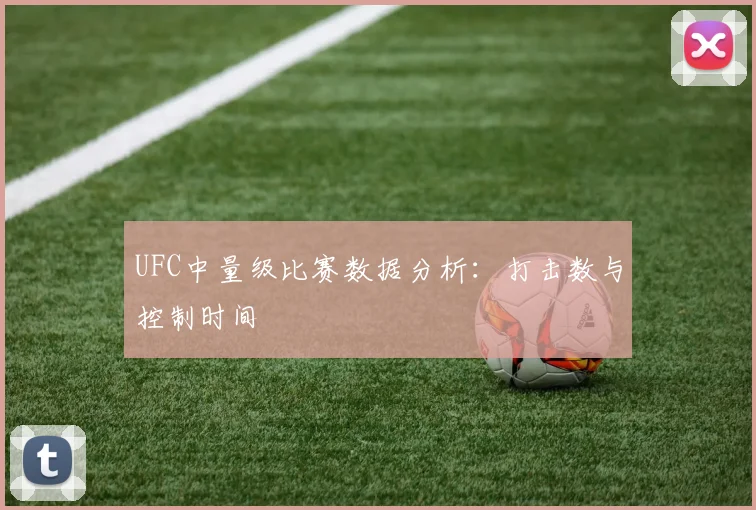 UFC中量级比赛数据分析：打击数与控制时间