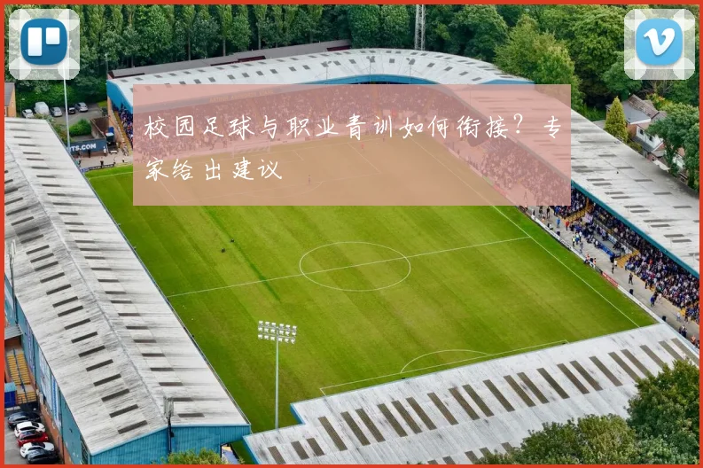 校园足球与职业青训如何衔接？专家给出建议