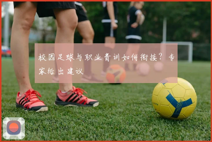 校园足球与职业青训如何衔接？专家给出建议