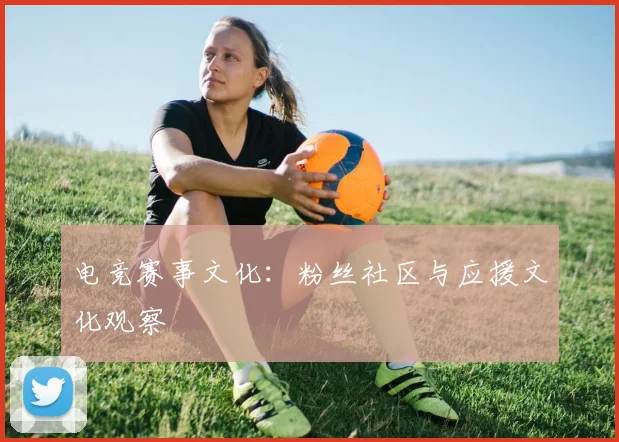 电竞赛事文化：粉丝社区与应援文化观察