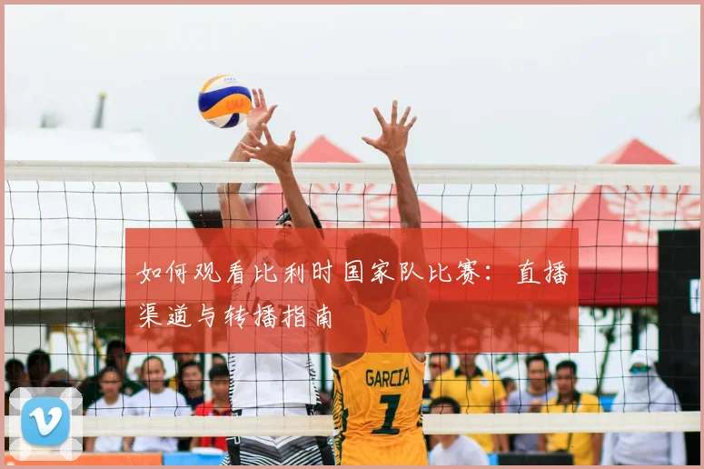 如何观看比利时国家队比赛:直播渠道与转播指南