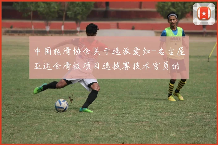 中国轮滑协会关于选派爱知-名古屋亚运会滑板项目选拔赛技术官员的通知