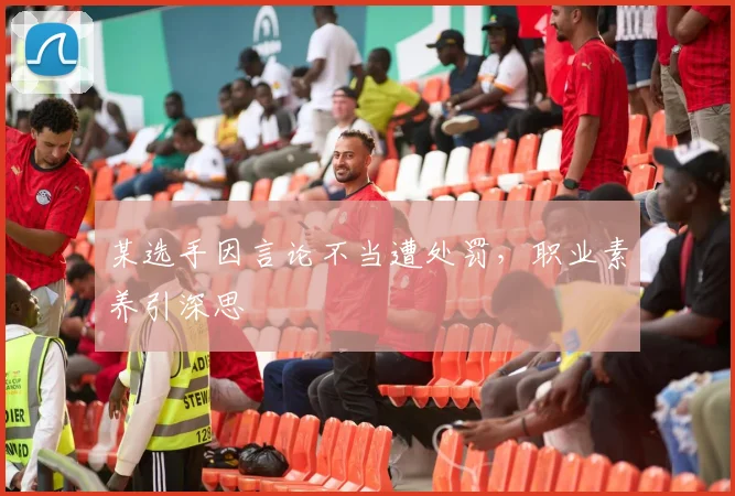 某选手因言论不当遭处罚，职业素养引深思
