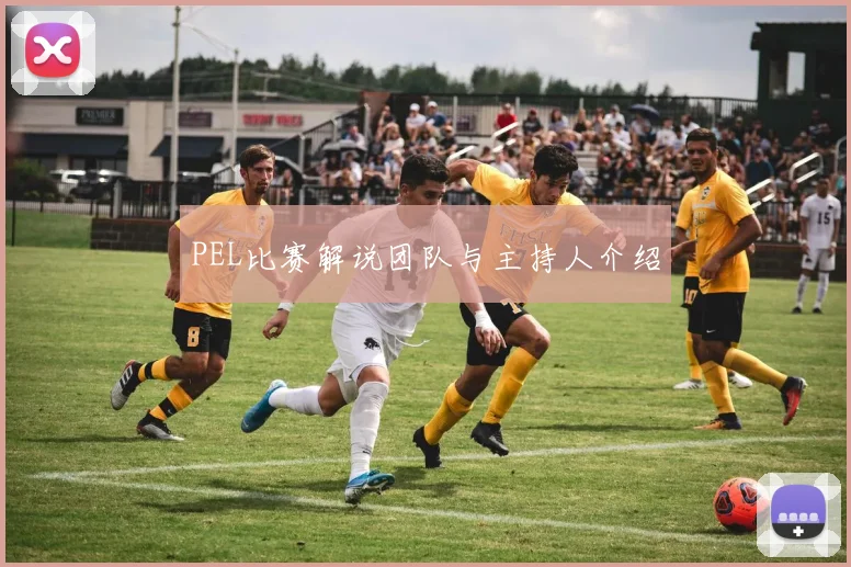 PEL比赛解说团队与主持人介绍